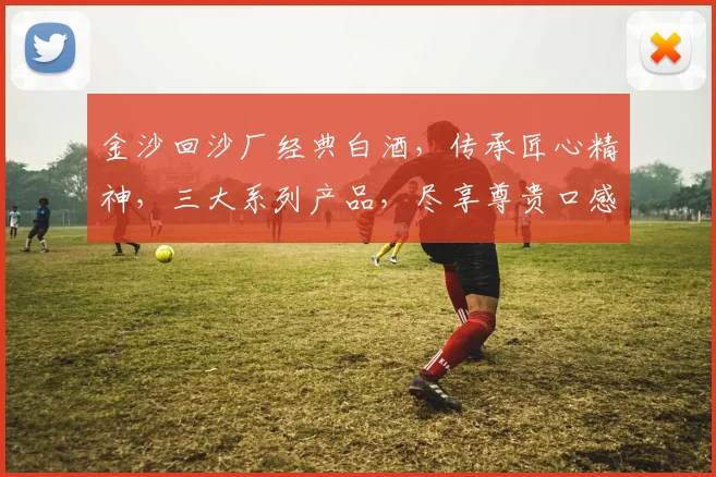 金沙回沙厂经典白酒，传承匠心精神，三大系列产品，尽享尊贵口感，品鉴首选。