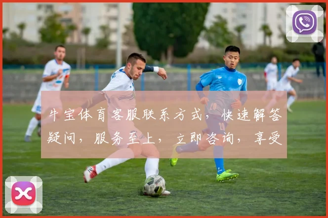 牛宝体育客服联系方式，快速解答疑问，服务至上，立即咨询，享受专业指导