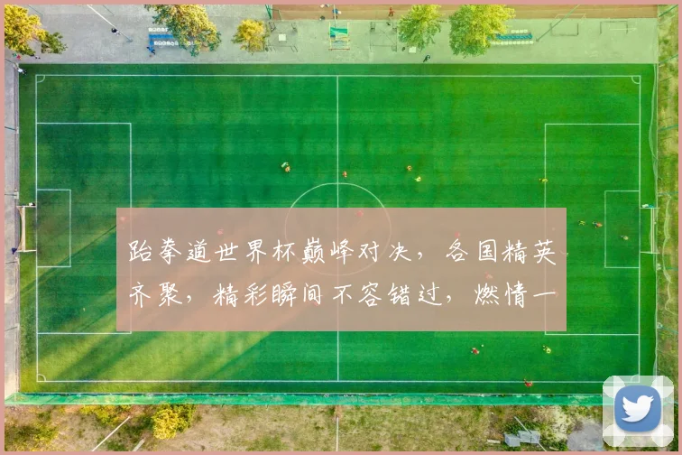 跆拳道世界杯巅峰对决，各国精英齐聚，精彩瞬间不容错过，燃情一触即发