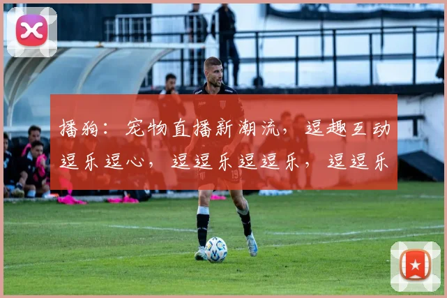 播狗：宠物直播新潮流，逗趣互动逗乐逗心，逗逗乐逗逗乐，逗逗乐不停
